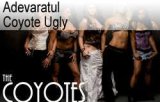 Adevaratul Coyote Ugly
