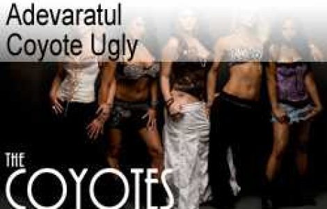 Adevaratul Coyote Ugly
