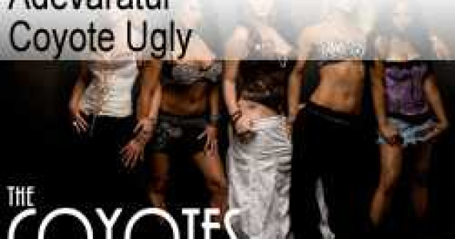 Adevaratul Coyote Ugly