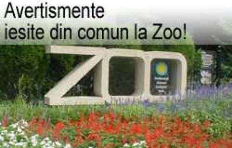 Avertismente iesite din comun la Zoo!