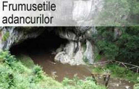 Frumusetile adancurilor