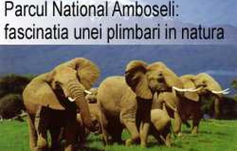 Parcul National Amboseli: fascinatia unei plimbari in natura