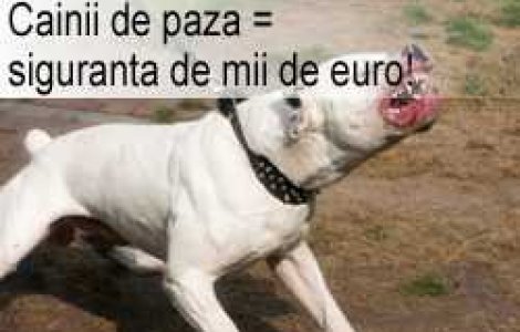 Cainii de paza = siguranta de mii de euro!