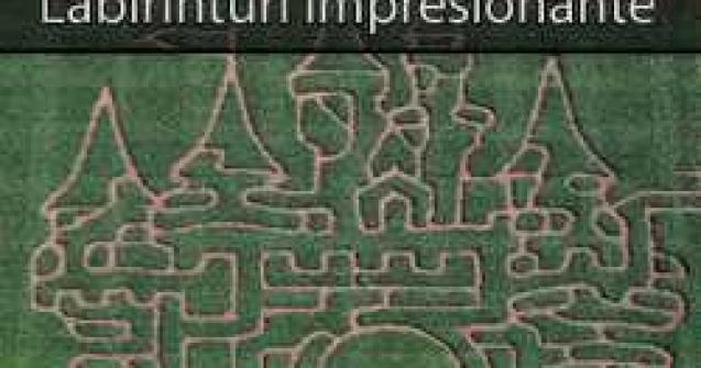 Labirinturi care te pun la (grea) incercare