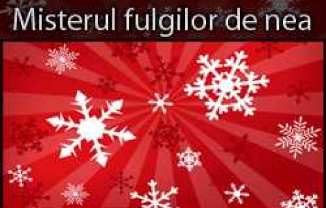 Misterul fulgilor de nea