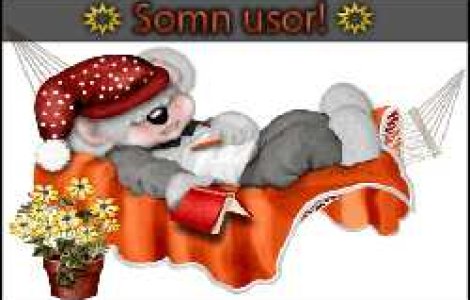 Insomnia naste monstri