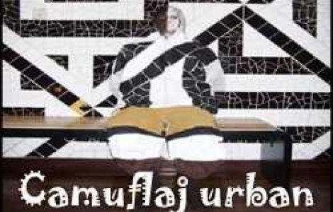Camuflajul urban. Arta ascunderii