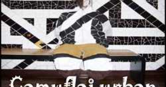 Camuflajul urban. Arta ascunderii