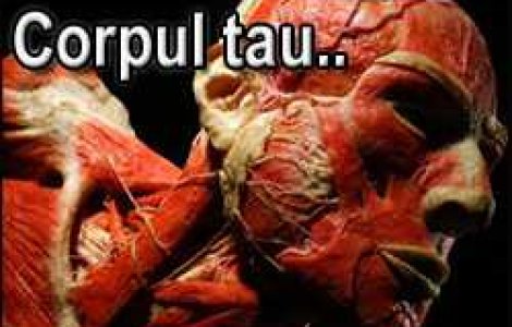 Ce poate pati corpul tau dupa moarte..