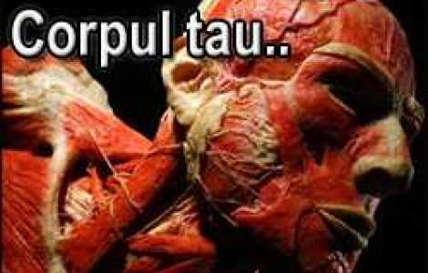 Ce poate pati corpul tau dupa moarte..