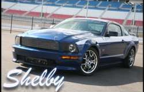 Spirit masculin. Noi bolizi Shelby