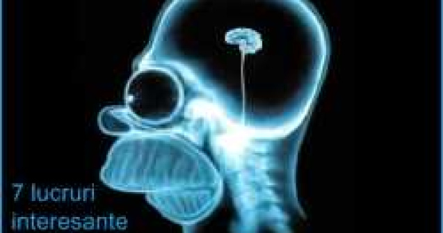 7 lucruri pe care nu le stiai despre creier