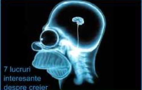 7 lucruri pe care nu le stiai despre creier
