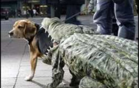  Top  Cum sa iesi in evidenta...