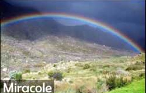 Miracolele care ni se intampla in viata