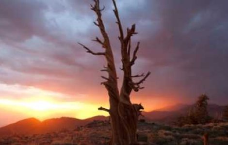  Top  5 clipuri video spectaculoase