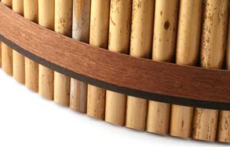 Gheorghe Zamfir si sangele de virgina!