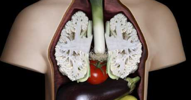 Ai vrea sa fii vegetarian pentru o zi?