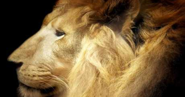  Top  7 intamplari ciudate