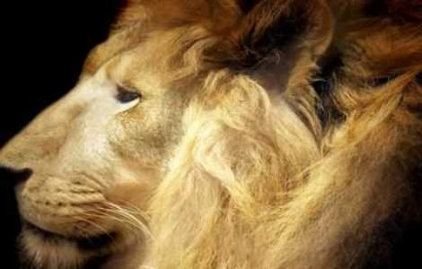  Top  7 intamplari ciudate