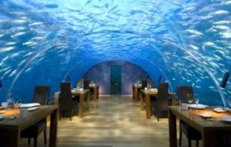  Top  Pofta buna! Printre pesti...