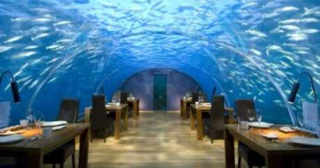  Top  Pofta buna! Printre pesti...