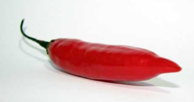  Top  Omul vs Bhut Jolokia, cel mai iute ardei din lume