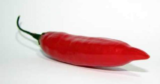  Top  Omul vs Bhut Jolokia, cel mai iute ardei din lume