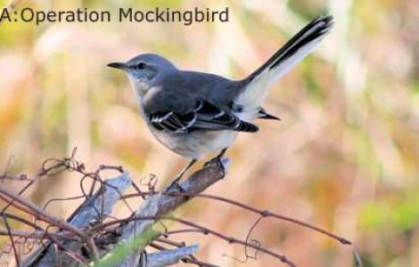  Top  Top 10: Operatiuni incredibile ale CIA