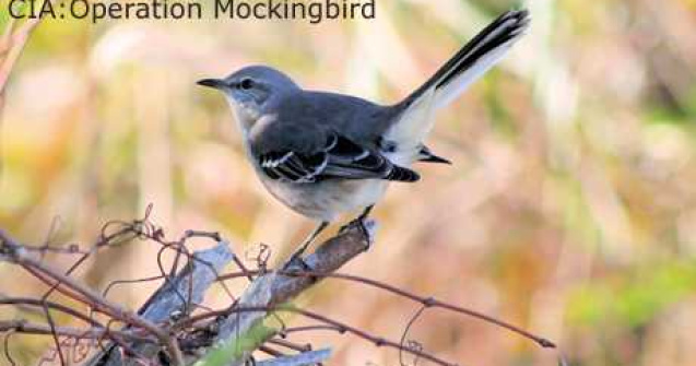  Top  Top 10: Operatiuni incredibile ale CIA