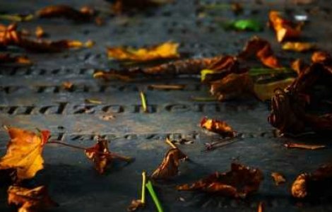  Top  Au murit sau nu la acea data? 12 exemple care ne pun pe ganduri...