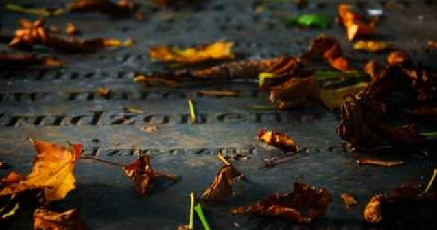  Top  Au murit sau nu la acea data? 12 exemple care ne pun pe ganduri...