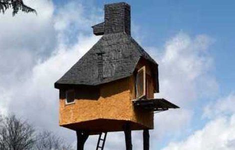  Top  Ti-ar placea sa stai aici?