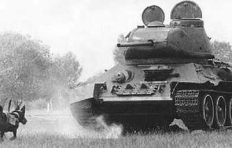  Top  5 arme ciudate din Al II-lea Razboi Mondial