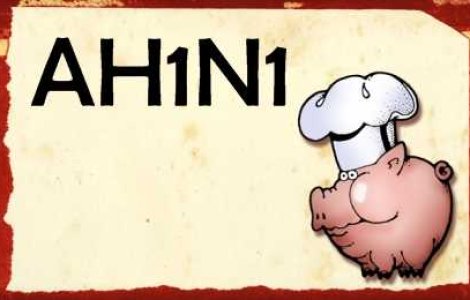 Cat de adevarata este gripa porcina?