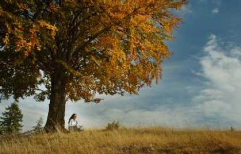 Cat de mult vei trai?