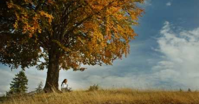 Cat de mult vei trai?