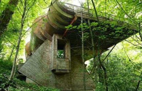  Top  Tree House: Casa din padure