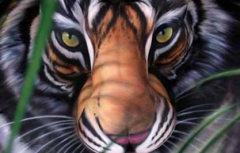  Top  25 de iluzii optice!