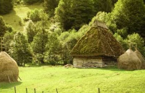 Top 10: Made in Romania