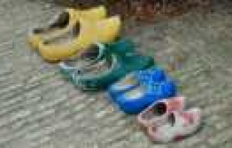 Povestea hotului de pantofi