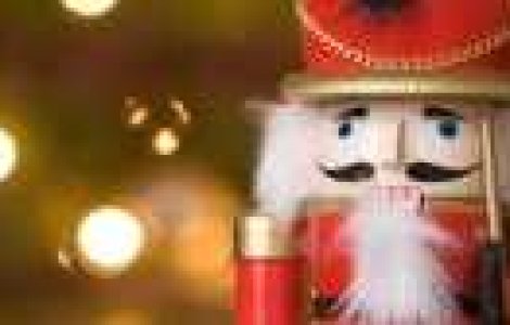 Adevarata poveste a soldatului Lupu Costel