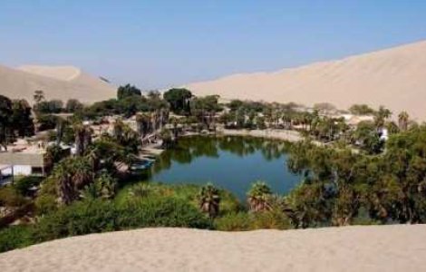 Un colt de rai, in plin desert...