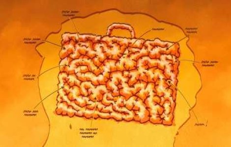  Top  10 experimente fascinante cu creierul tau