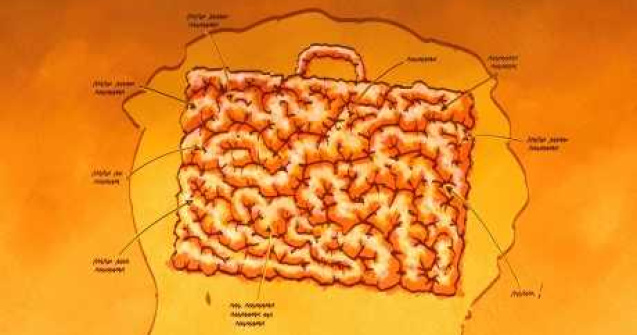  Top  10 experimente fascinante cu creierul tau