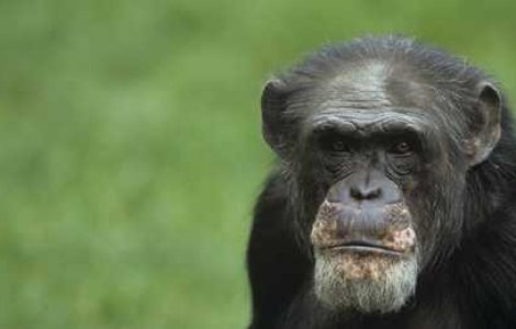  Top  7 intamplari ironice si amuzante