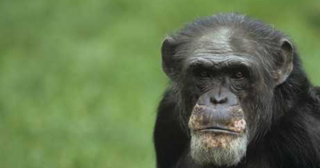  Top  7 intamplari ironice si amuzante