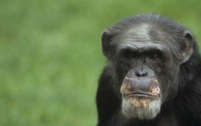 7 intamplari ironice si amuzante