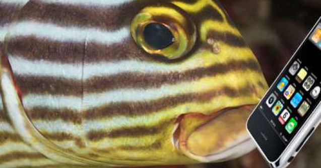  Top  7 intamplari cu telefoane. Tu ce poveste ai?