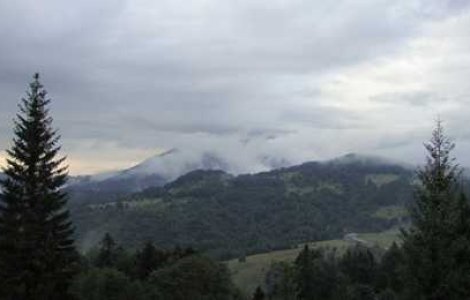 Traim intr-o tara frumoasa: Paraul Rece